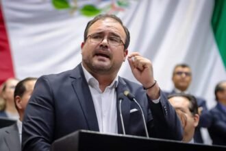 México refuerza sanciones contra la tala ilegal de bosques