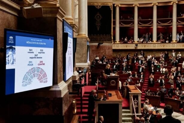 Francia legaliza la eutanasia tras histórica votación parlamentaria