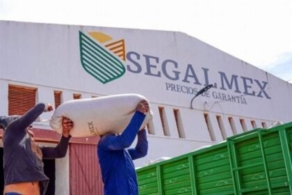 Investigan a empresarios por irregularidades en Segalmex