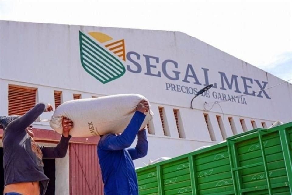 Investigan a empresarios por irregularidades en Segalmex