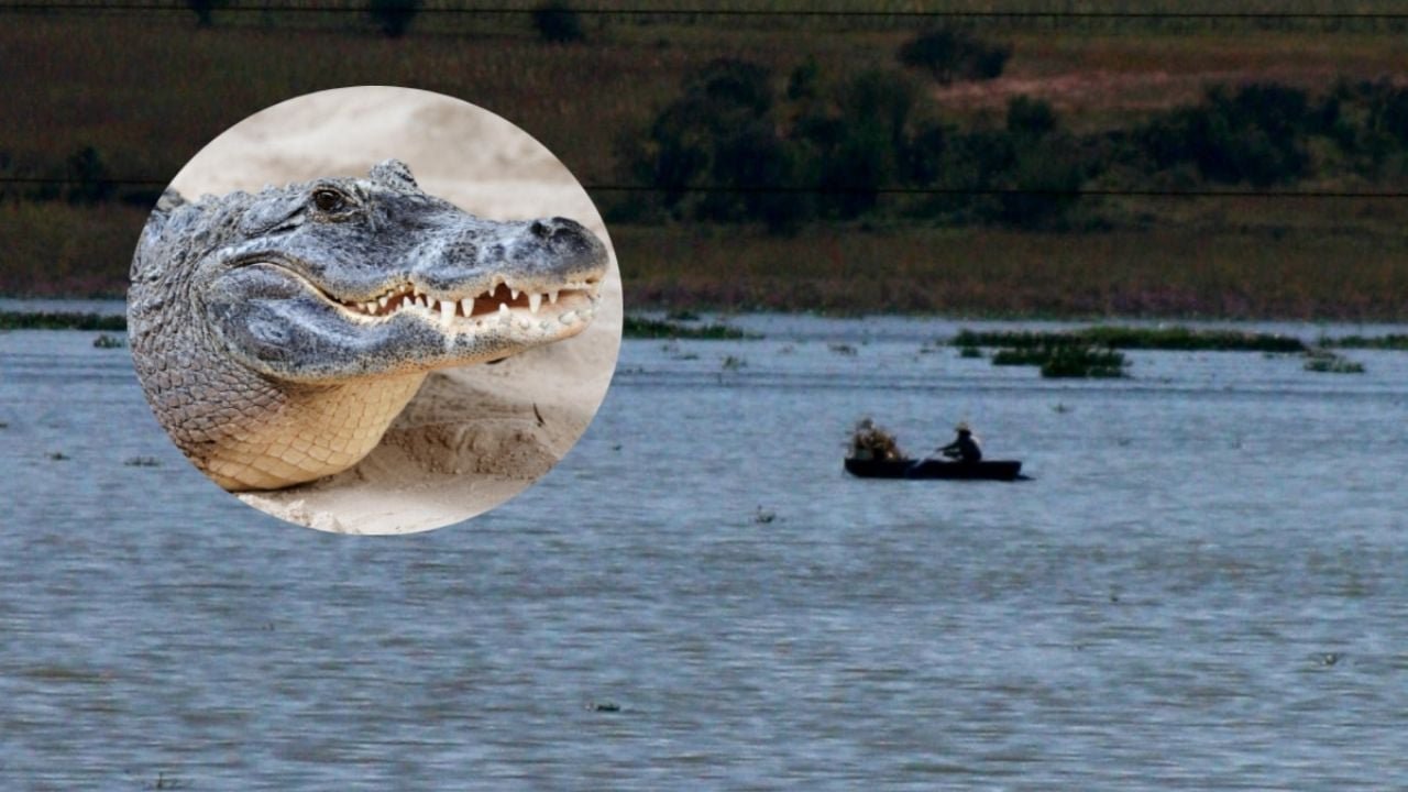 Suspenden actividades en lago de Valsequillo por cocodrilo