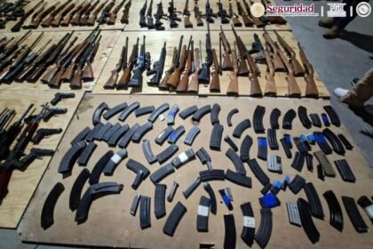 Aseguran 210 armas de fuego ocultas en carretera de Nuevo León