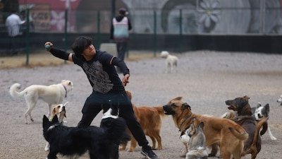 Clima en Jalisco: martes fresco y nublado, máxima de 25°C