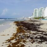 Tulum se reinventa con turismo de lujo tras caída de visitantes