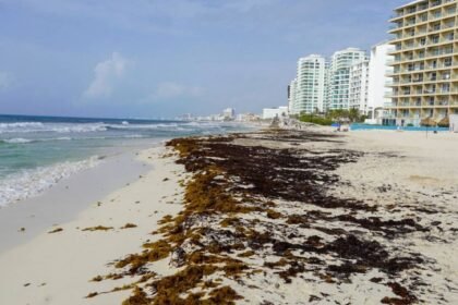 Tulum se reinventa con turismo de lujo tras caída de visitantes