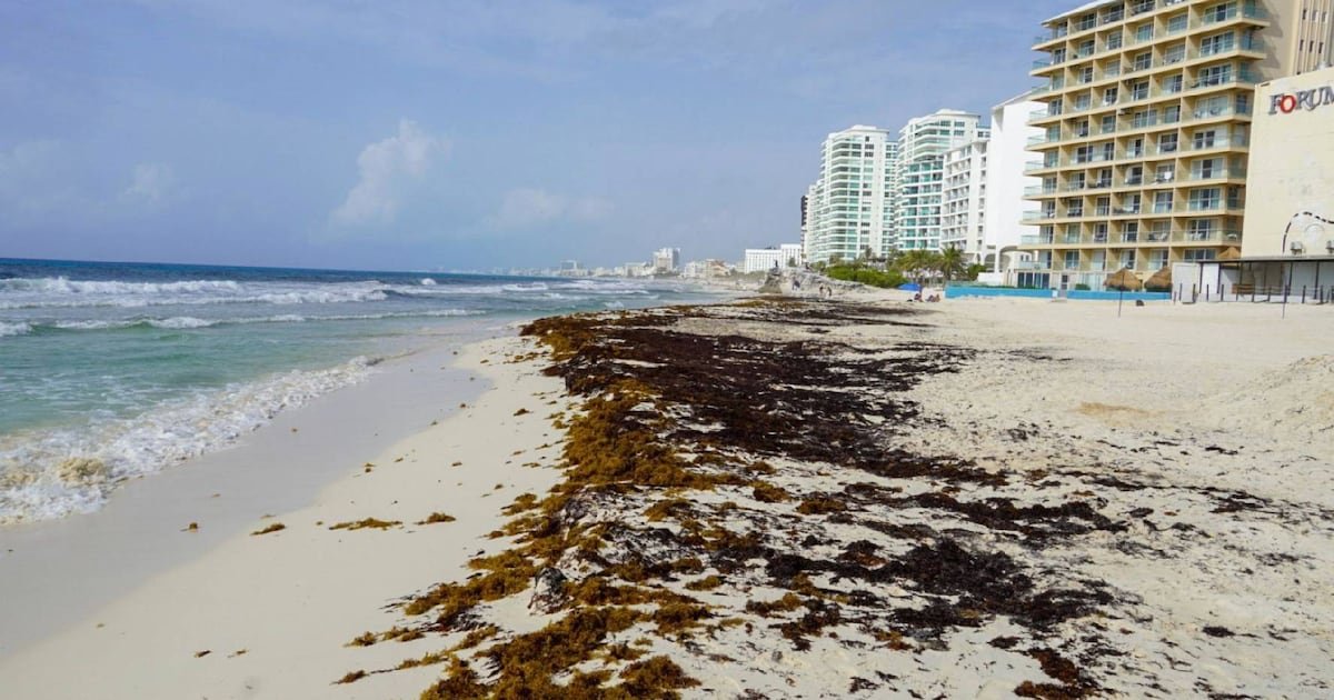 Tulum se reinventa con turismo de lujo tras caída de visitantes