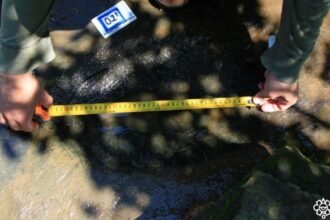INAH descubre 50 huellas fósiles de dinosaurio en Michoacán