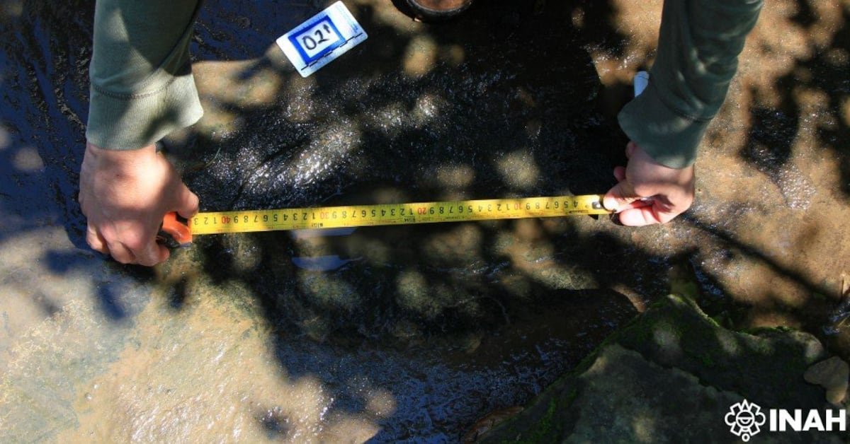INAH descubre 50 huellas fósiles de dinosaurio en Michoacán